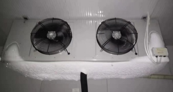 1694999638147807.jpg 6.jpg