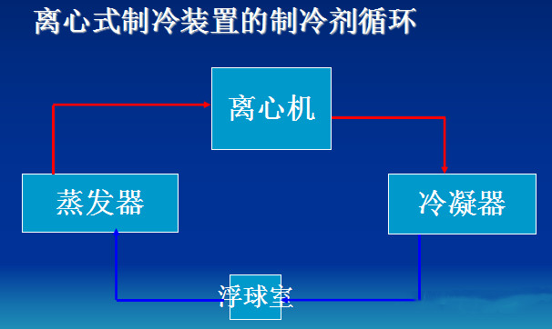 1704354453797515.jpg 3.jpg